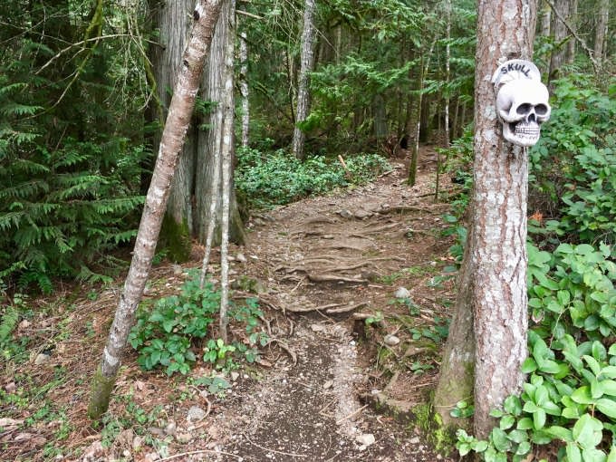 Skull Trail at Hartland mountain biking area